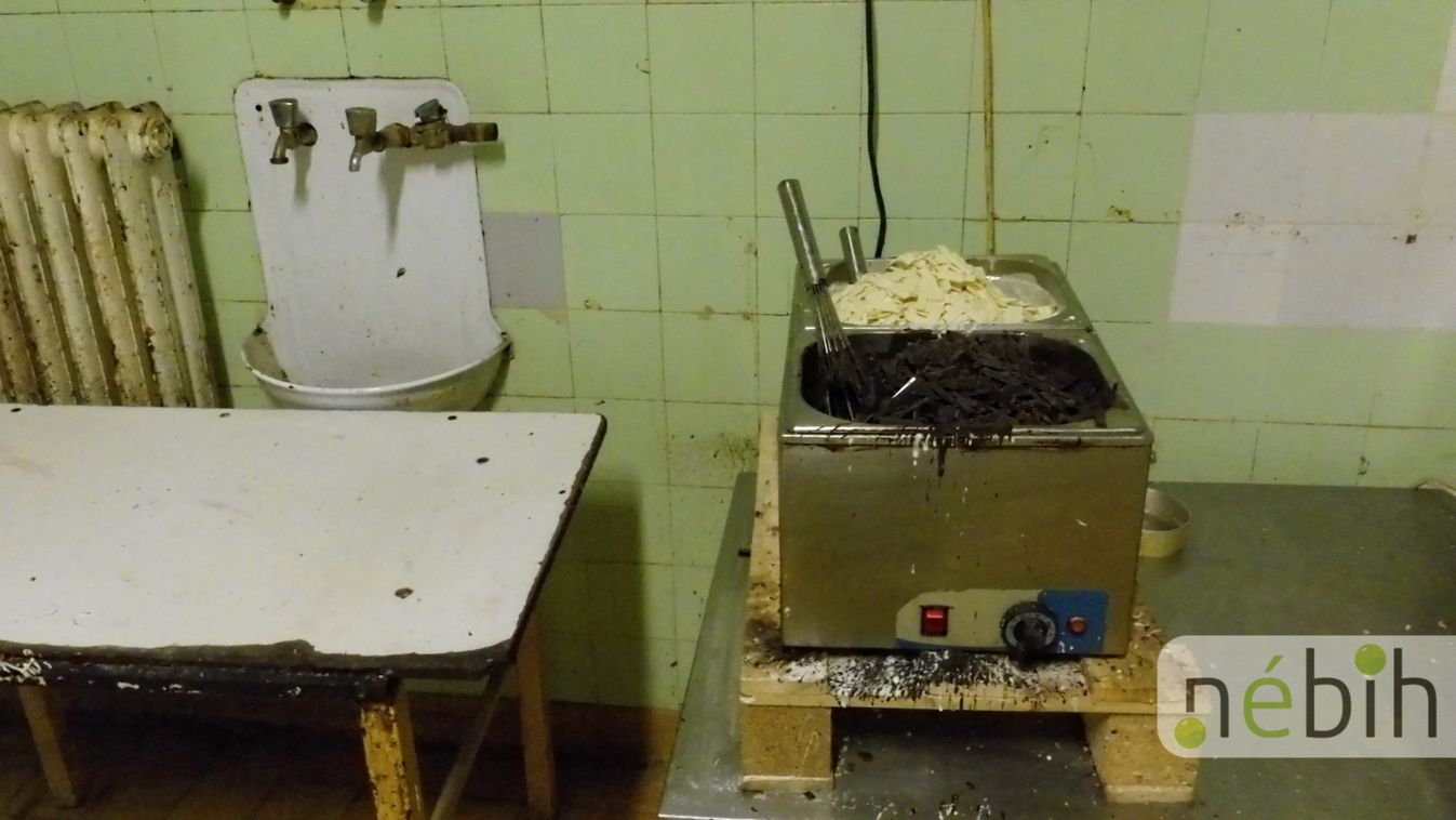 Horrorvideót tett közzé a Nébih egy csongrádi üzemről – Fotók, Videó