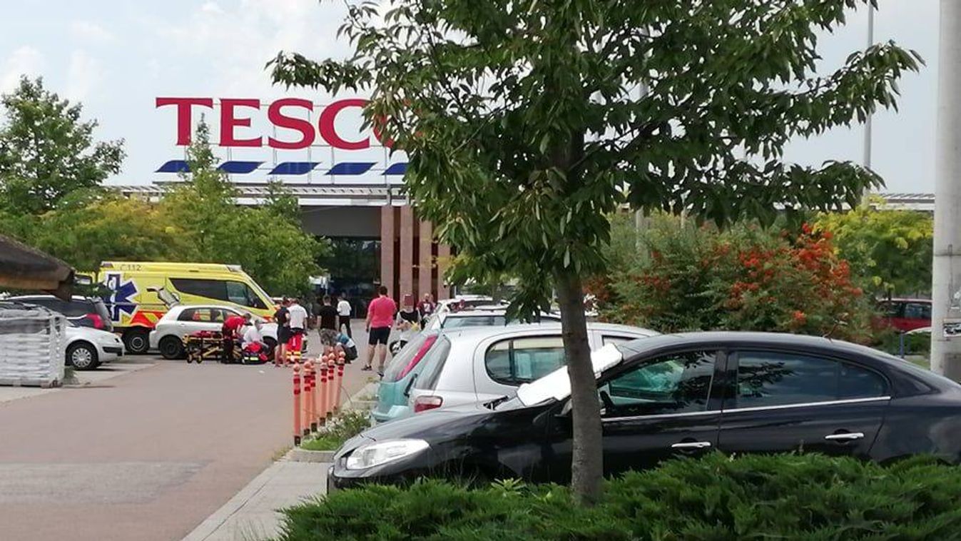 ÚtON: Gázolás történt a Napfény Parkban