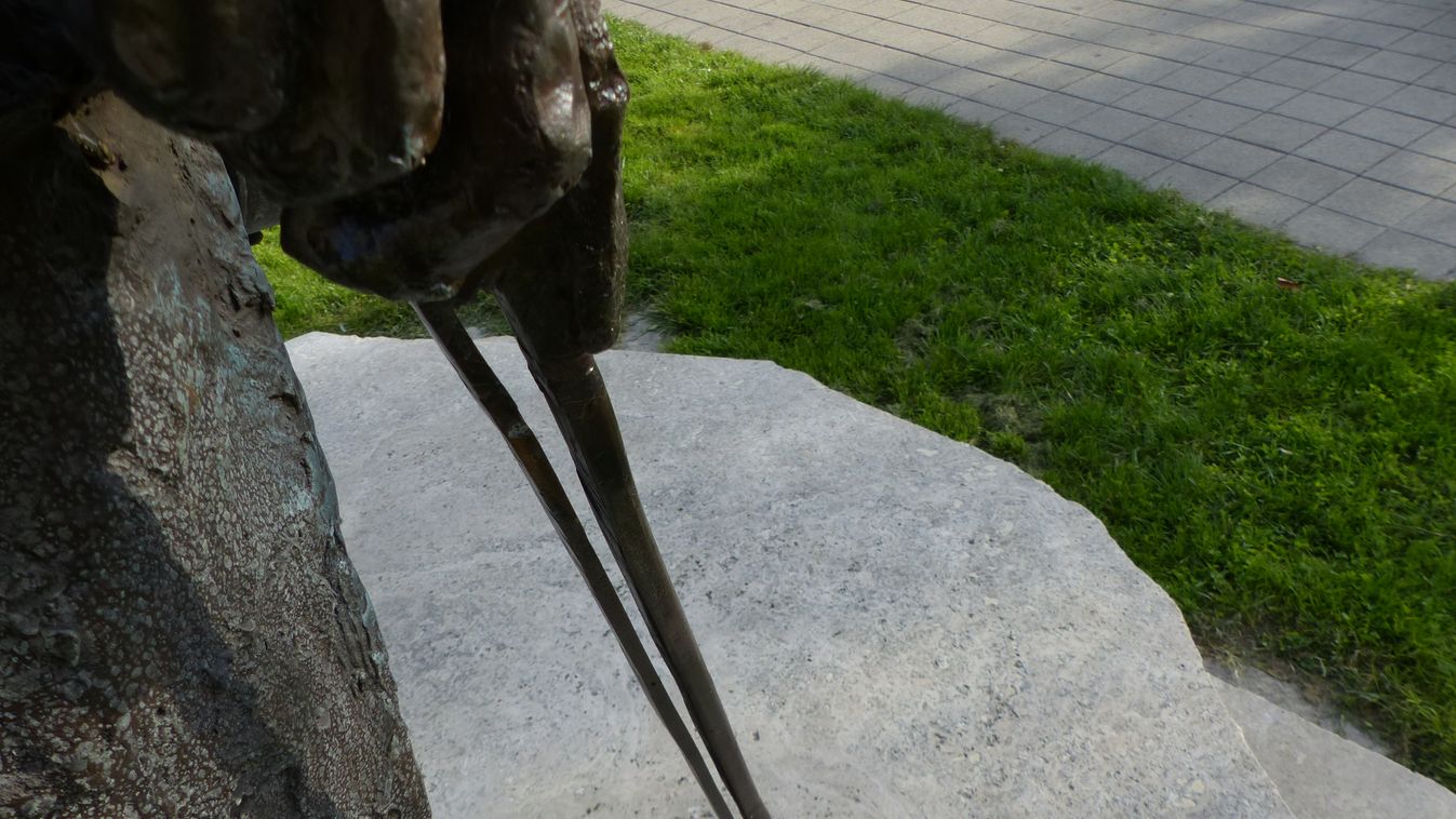 Térfigyelő kamera vigyáz Fátyol Misi új vonójára