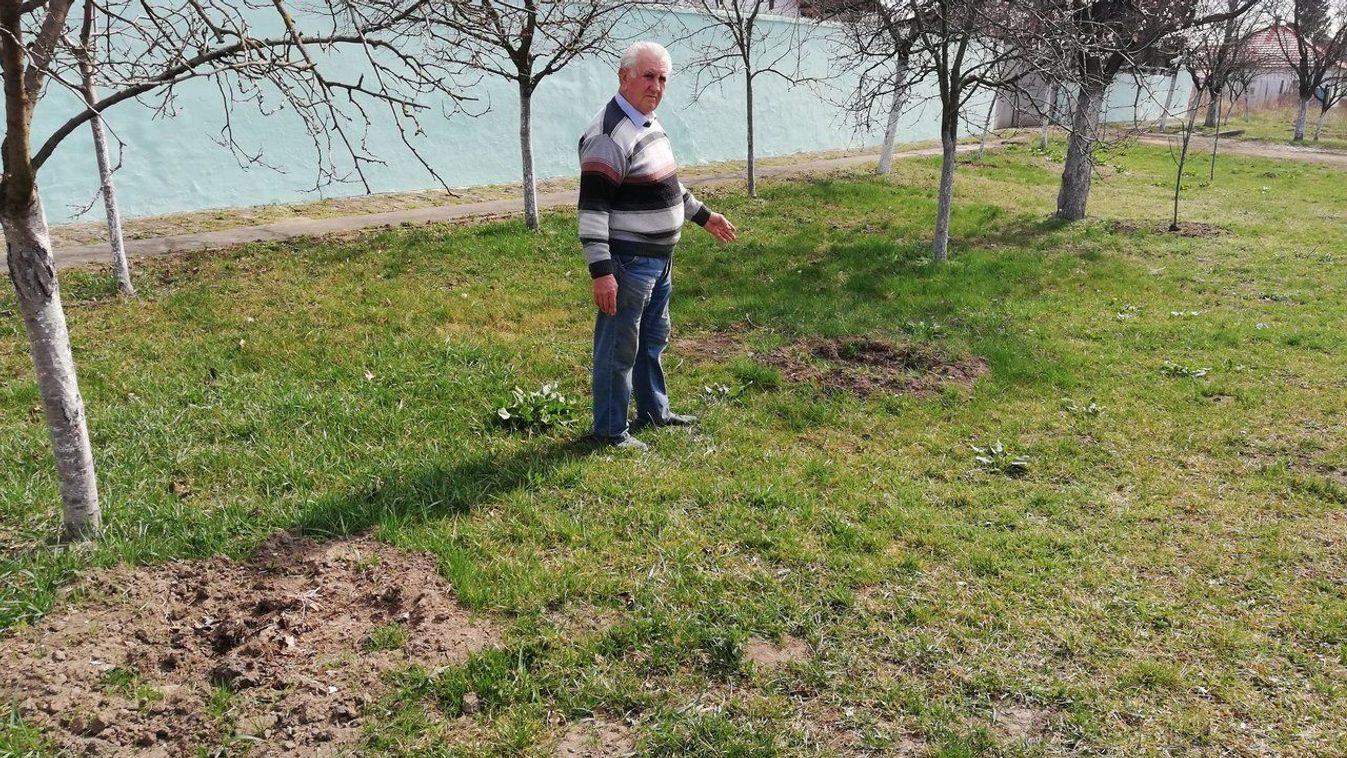 Ellopták Gyuri bácsi 1600 forintos gyümölcsfáit, de nem ez zavarja