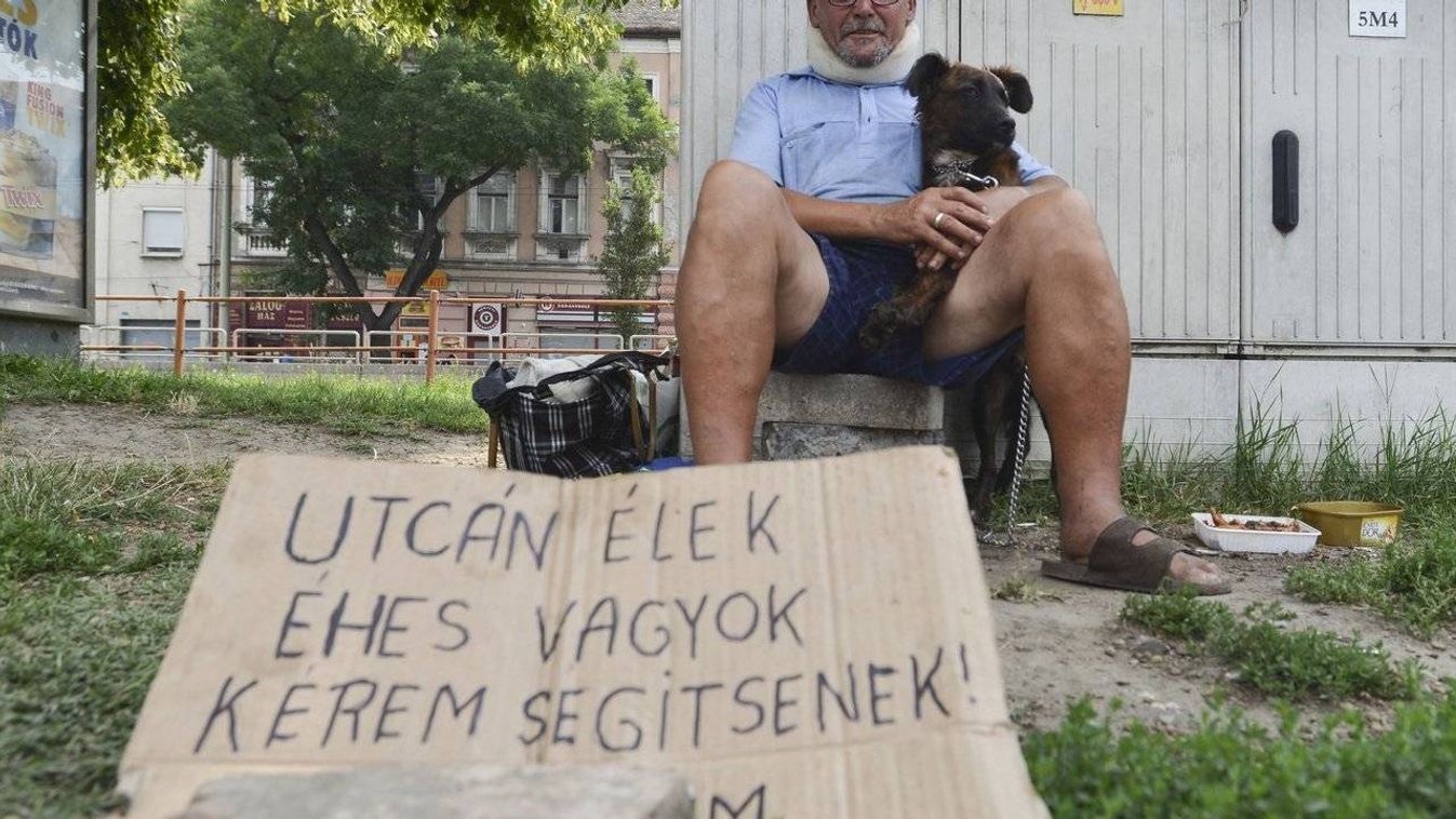 Újra van kutyája a belvárosi koldusnak