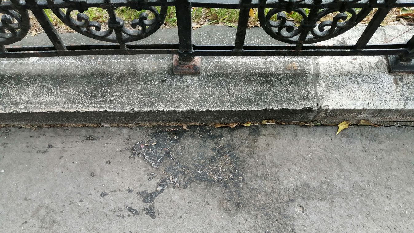Hányás és vizeletfoltok tarkítják a Dóm teret és környékét – Fotók