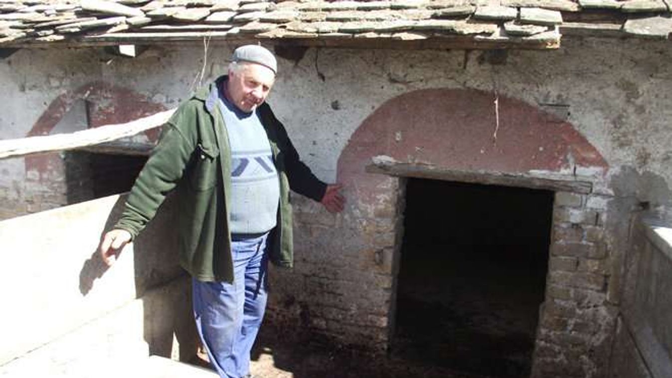 Levágták a tolvajok az ellopott disznók fejét