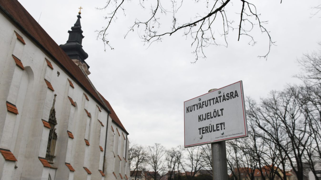 Pillanatok alatt, méregtől pusztulhatott el egy labrador a Mátyás téren