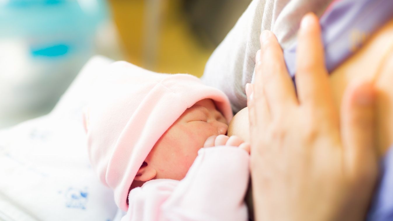 Anyatej termelésében segíthetnek a fogak őssejtjei