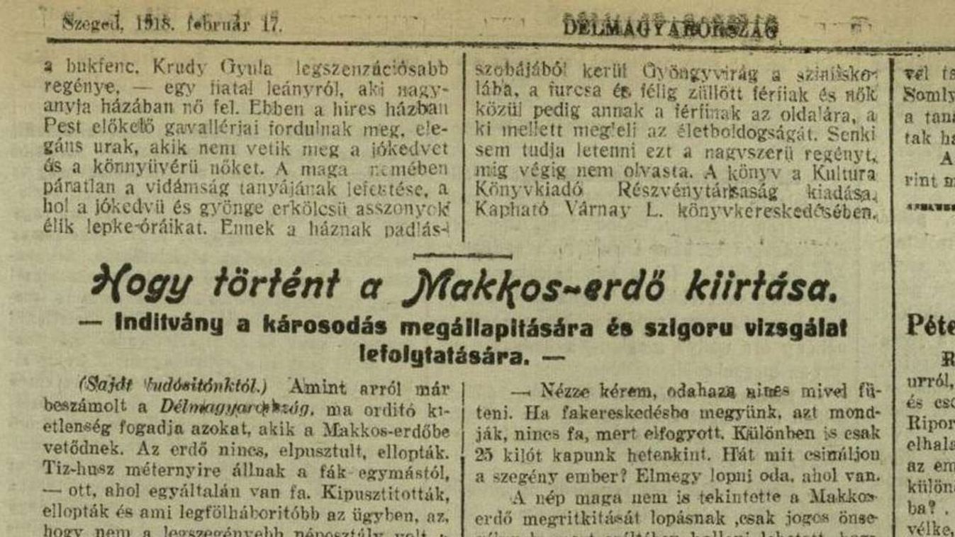 Eltüzelték a város ligeteit az ínségben