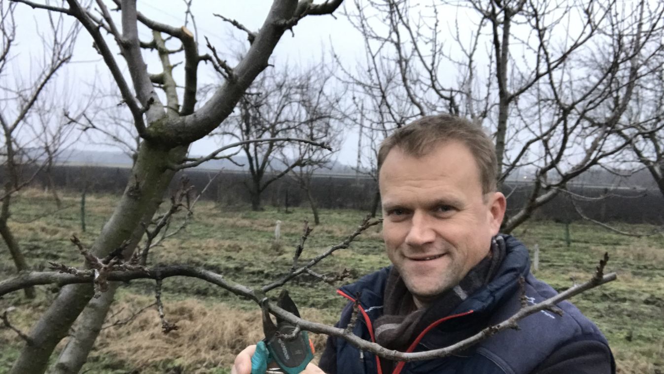Sipos gazda útmutatója a tél végi metszéshez