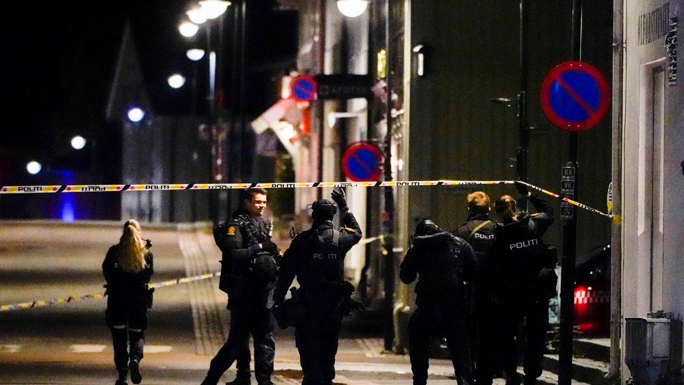 Kiderült: iszlám terrorista a norvégiai íjas gyilkos
