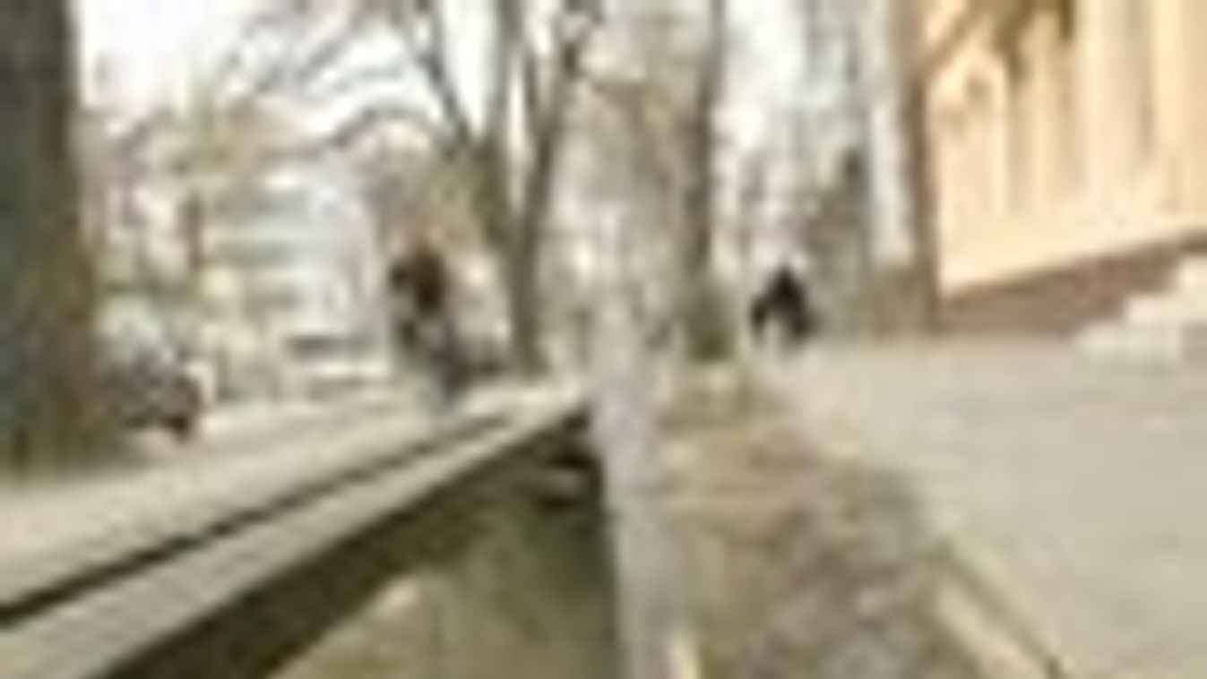 Fekete pont