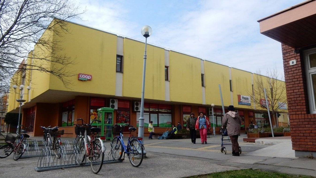 Gyerekkel kéregetnek Makón