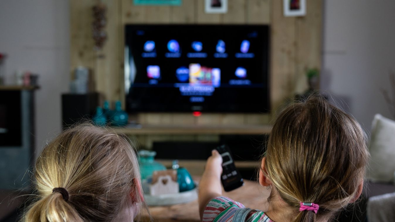 Megvásárolta Roald Dahl műveinek szerzői jogait a Netflix