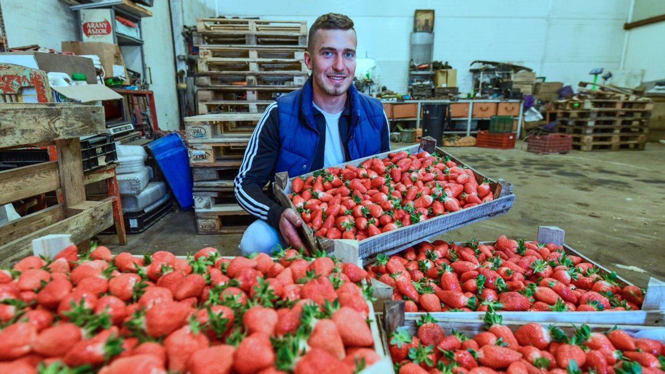 Epernagyhatalommá szeretne válni Bordány a térségben