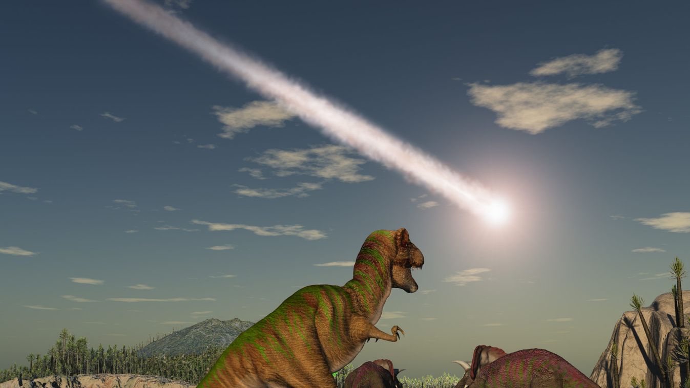 Az esőerdőket is átalakította a dinoszauruszokkal végző aszteroida