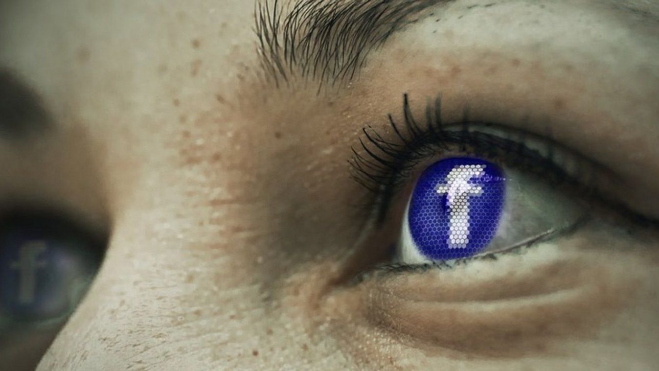 Lenácizta a Facebookot az egykori befektető