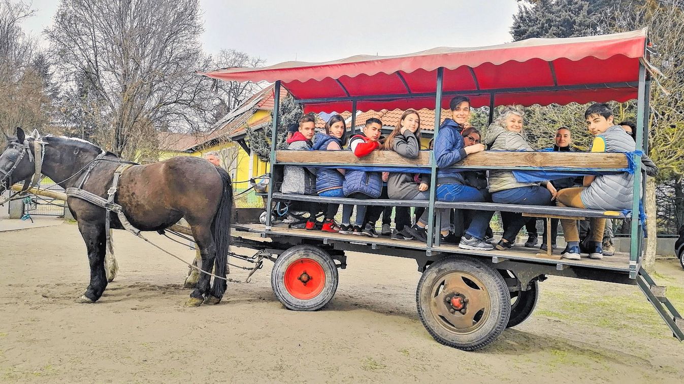 A mórahalmi és az ásotthalmi iskolával is felvették a kapcsolatot Erdélyből