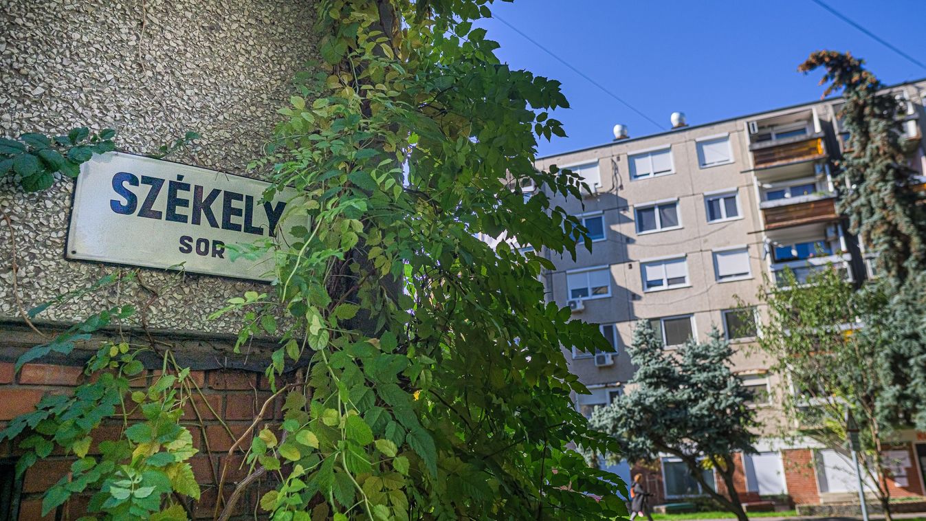 Brutálisan végezhettek a szegedi nővel