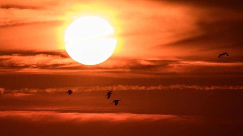 DELMAGYAR – Krúgatástól hangos a fehértói naplemente