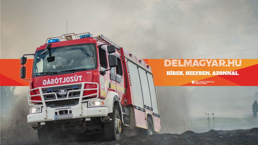 DELMAGYAR – Villanyoszlopnak ütközött egy autó Bordánynál