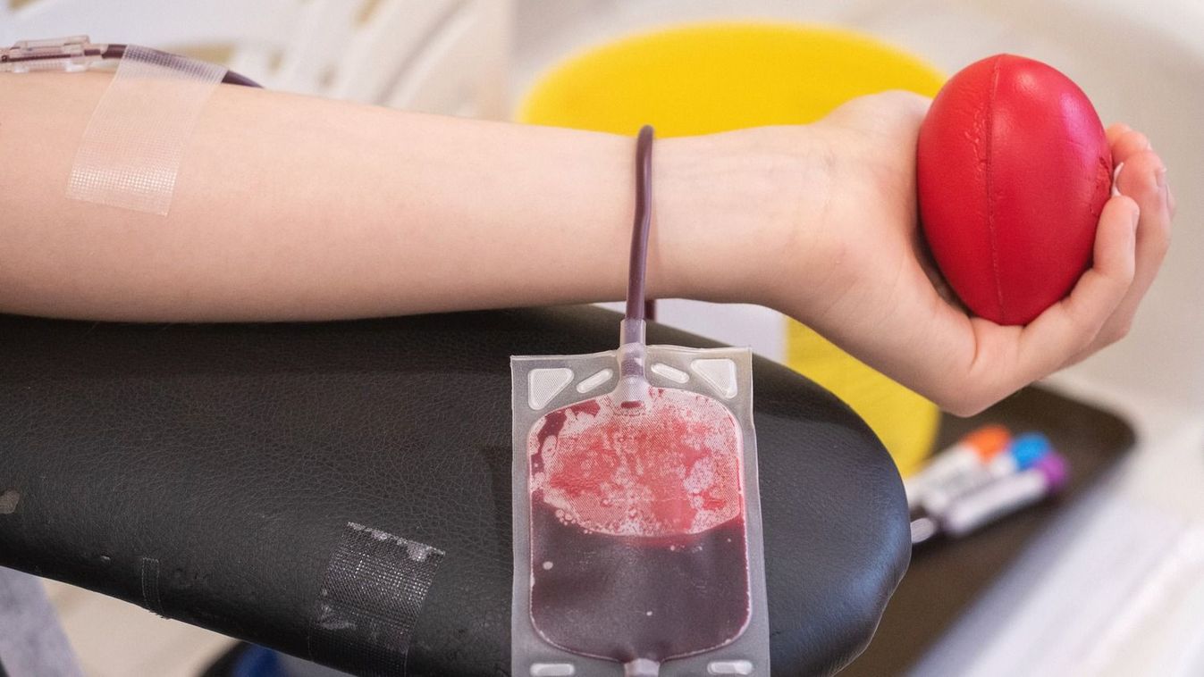 Ajándékozzon életet az ünnepekkor is