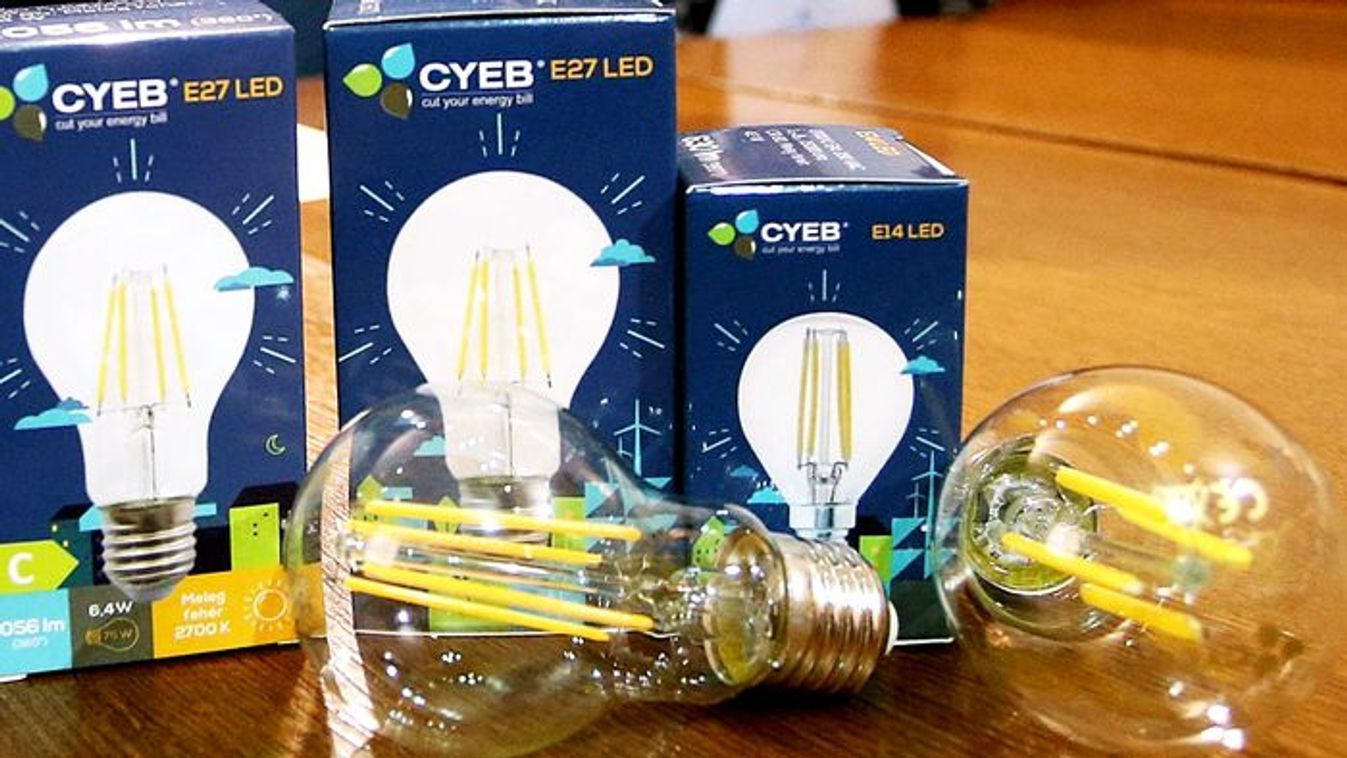 Ingyenes LED-izzókat vehettek át