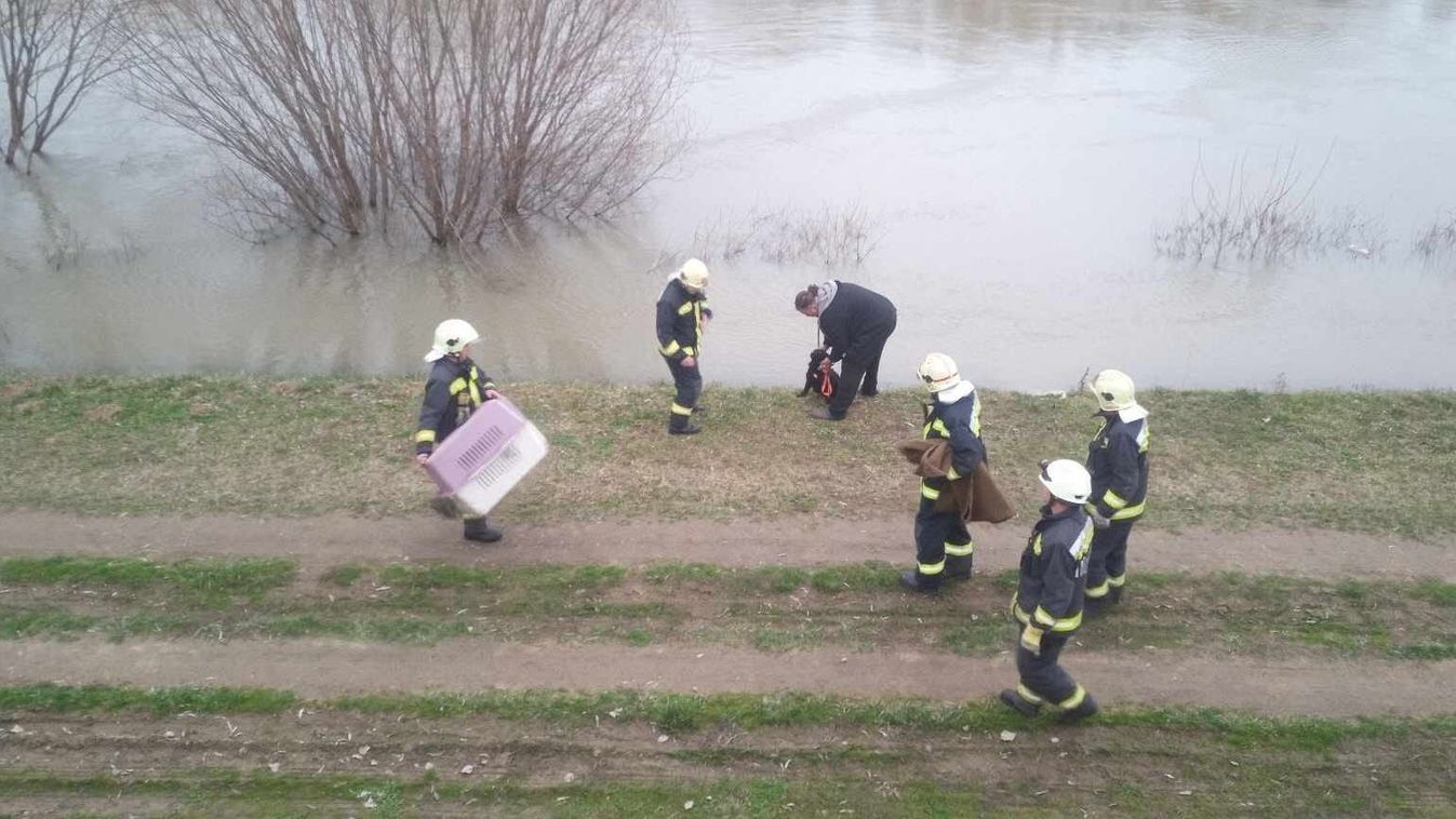 Kutyát mentettek a csongrádi tűzoltók