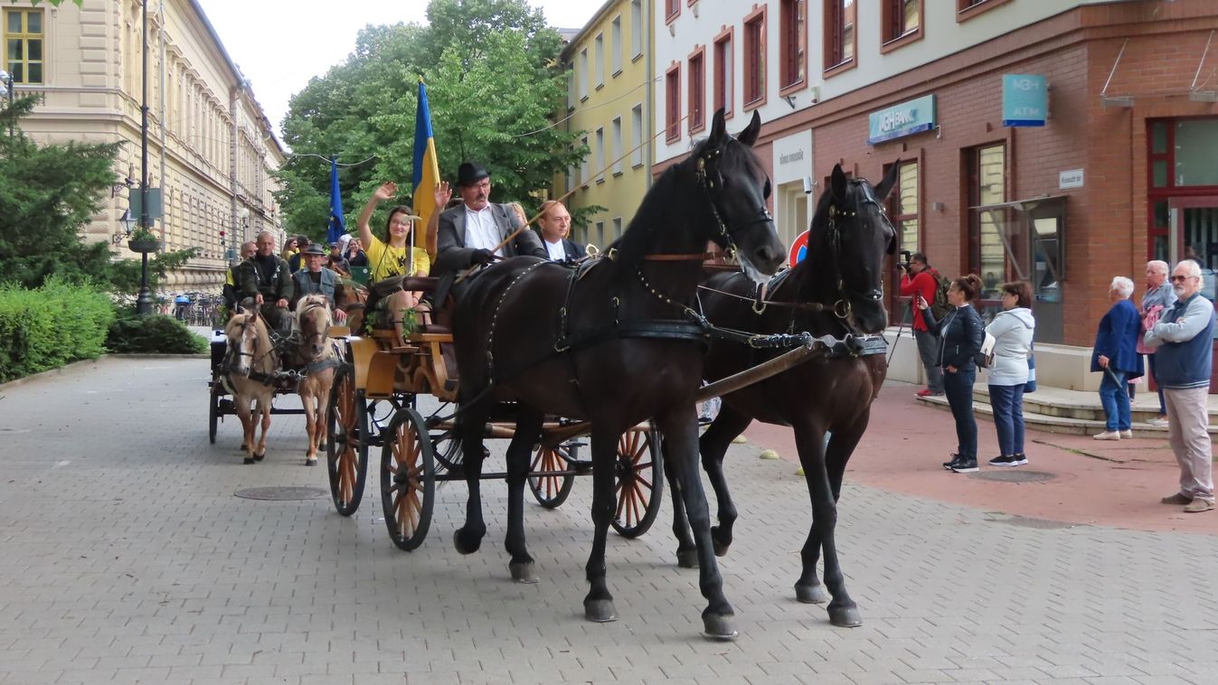 Sárgulás: virágokkal díszített fogatokkal vonultak végéig Vásárhelyen a végzősök - GALÉRIA