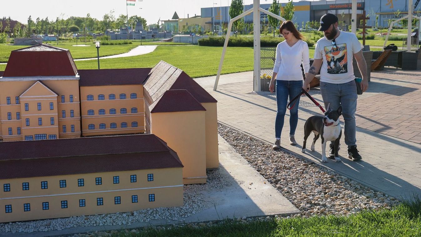 The Mórahalm Foundation has become a dog-friendly place