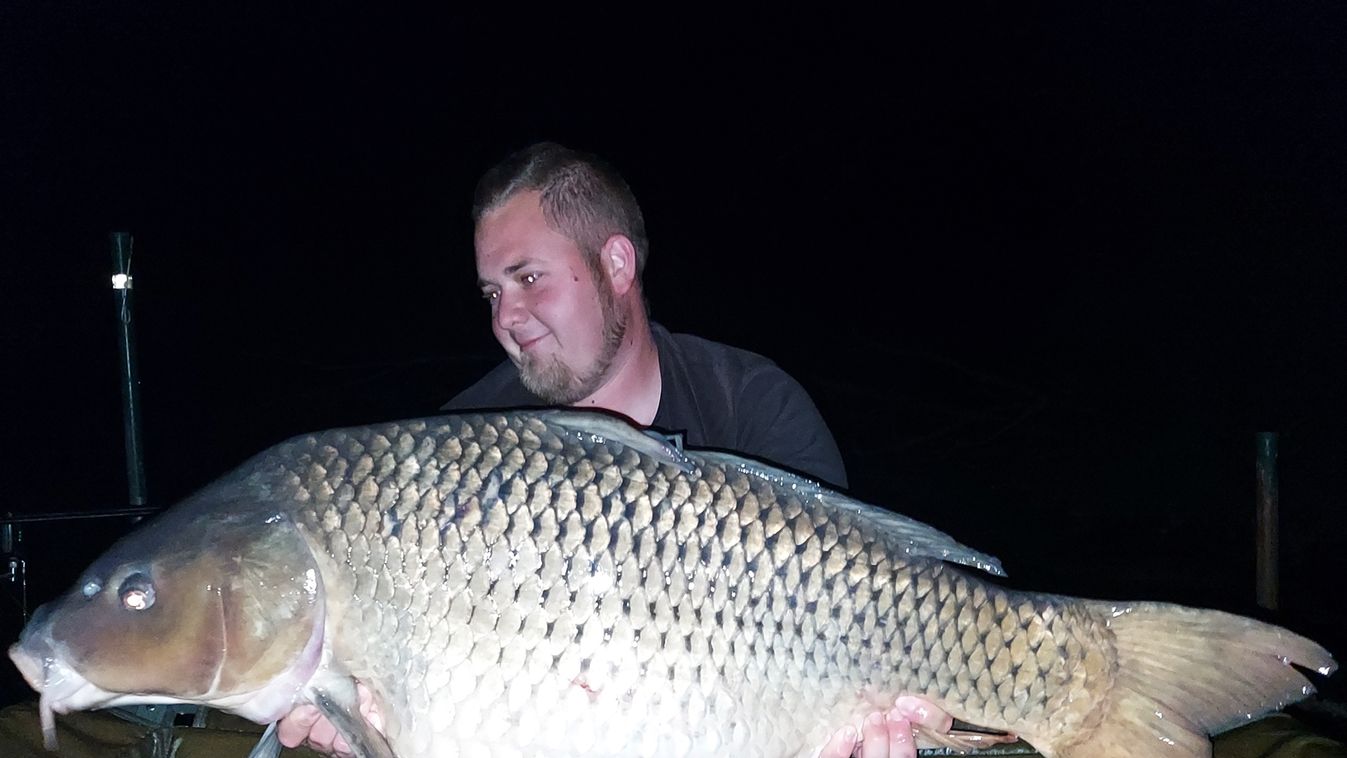 Új rekordhal: Megérkezett az első 20 kg feletti ponty
