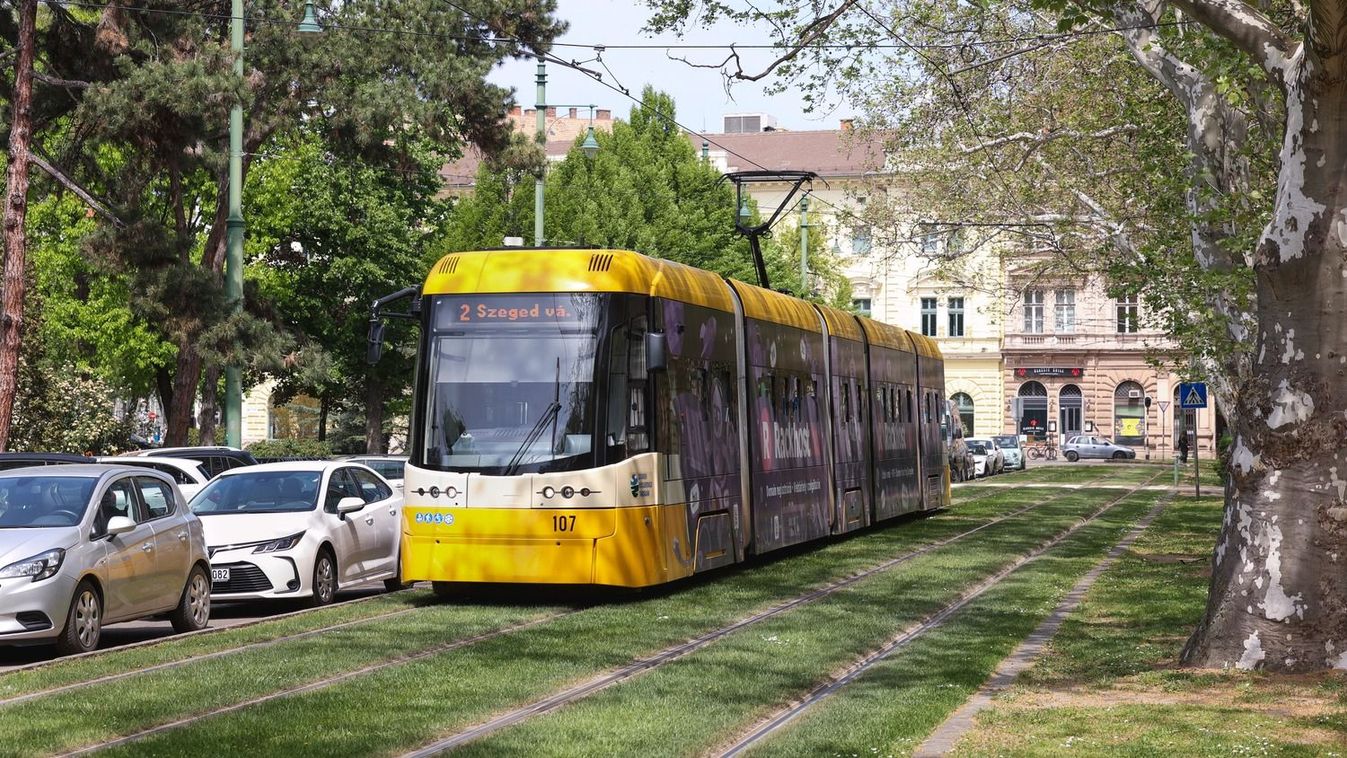 Jegyvásárlás helyett ütött