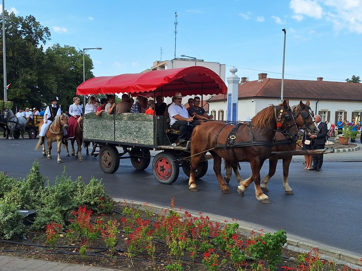 A kisteleki augusztus 20-ai lovas felvonulást is a Szeri Hagyományőrző Fogathajtó Egyesület szervezte a helyi önkormányzattal közösen. Fotó: Sándor Attila