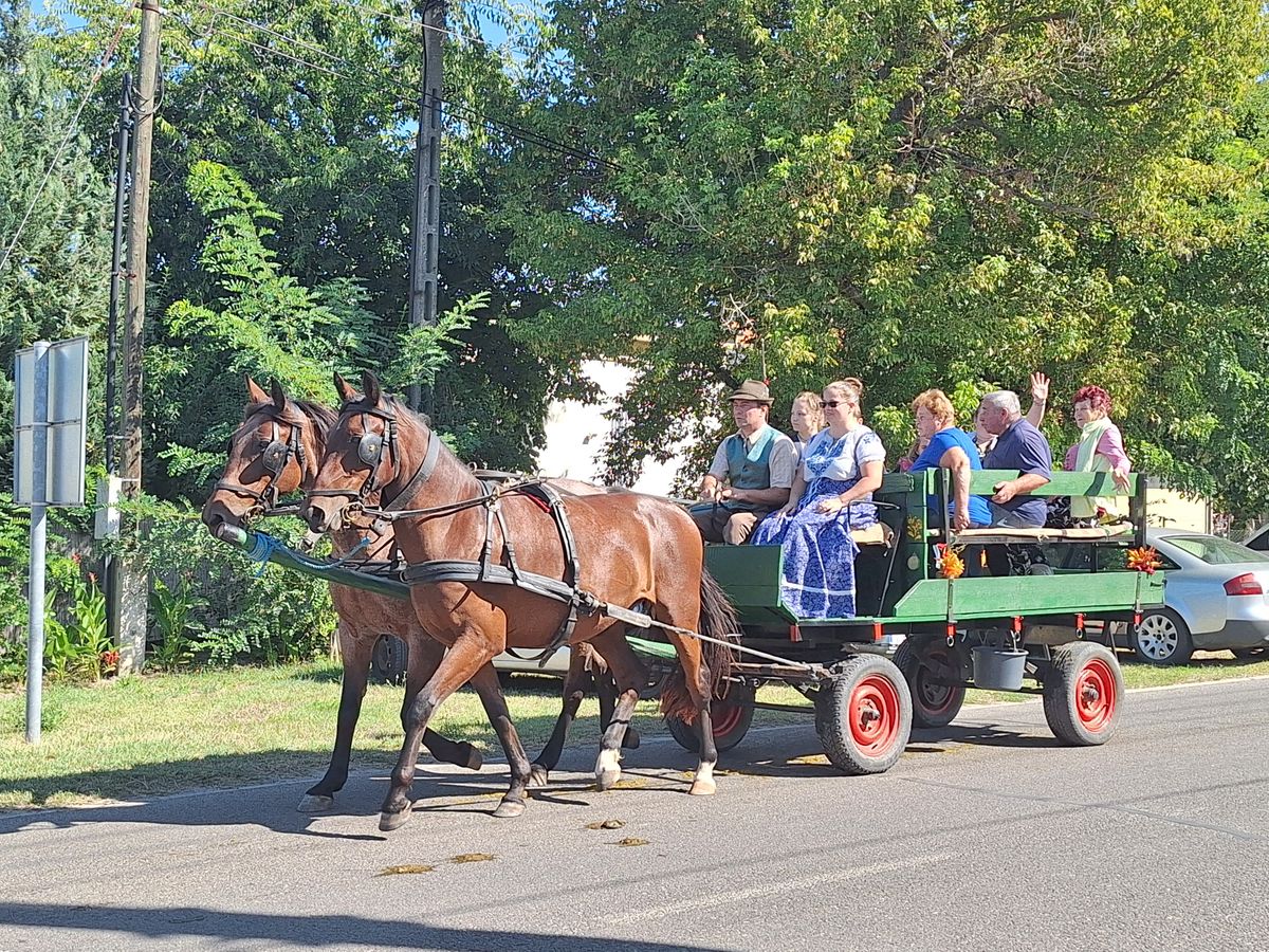 szüreti felvonulás, Pusztaszer, lovaskocsi