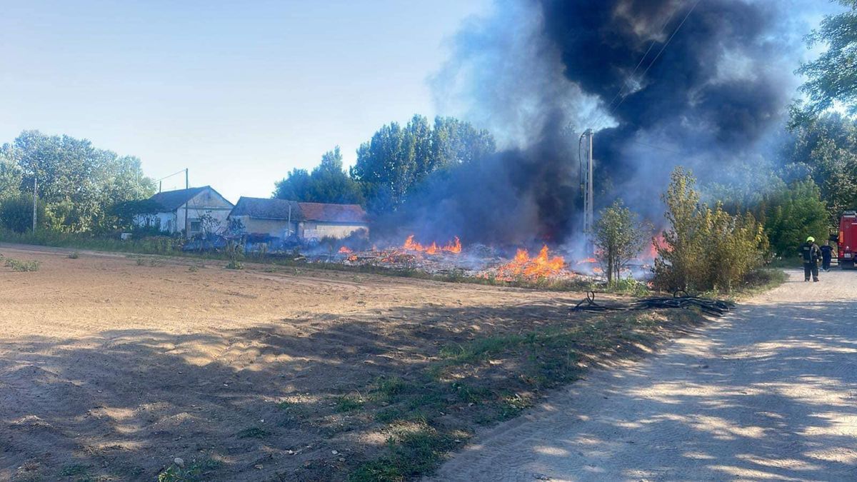 Tűzoltó, Mórahalom, nyár, avartűz