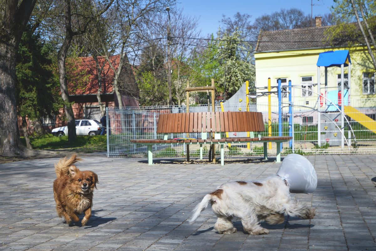 ebzárlat, vármegye, október