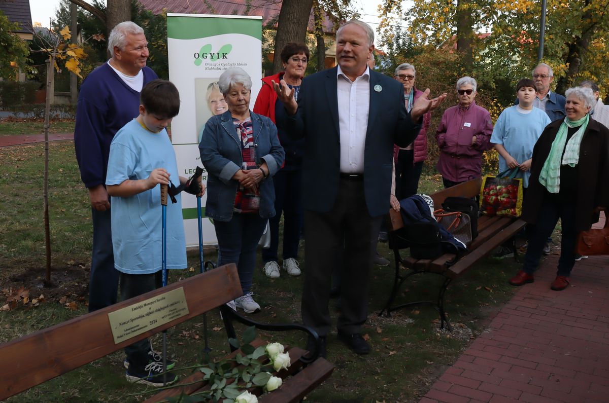 Az emlékfa melletti pad előtt Monspart Sarolta öccse, Zsolt beszél a makói Petőfi parkban.