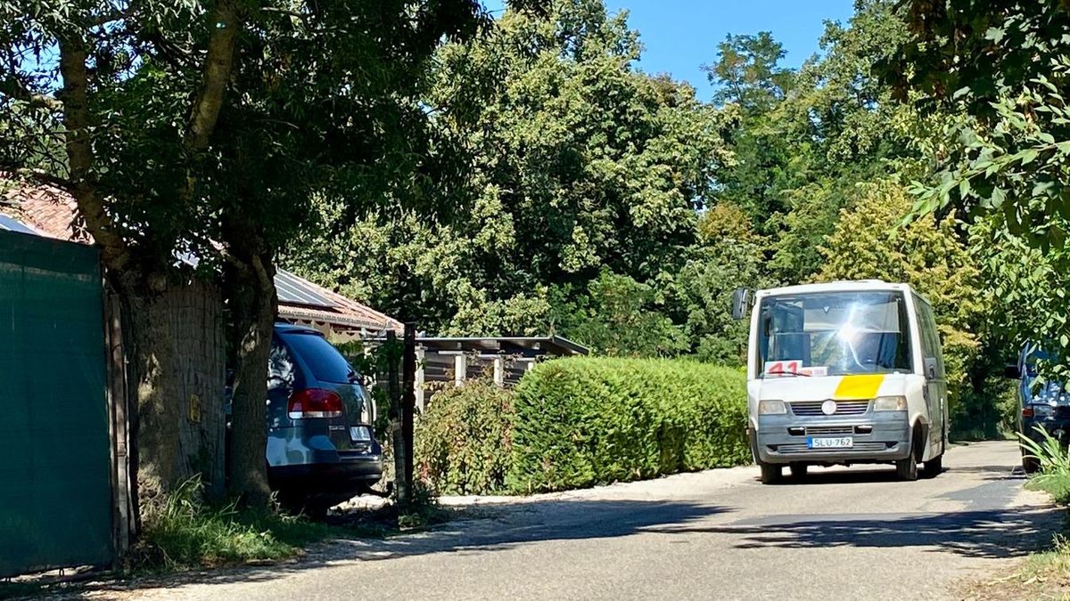 Balaton Busz, Hódmezővásárhely, menetrend