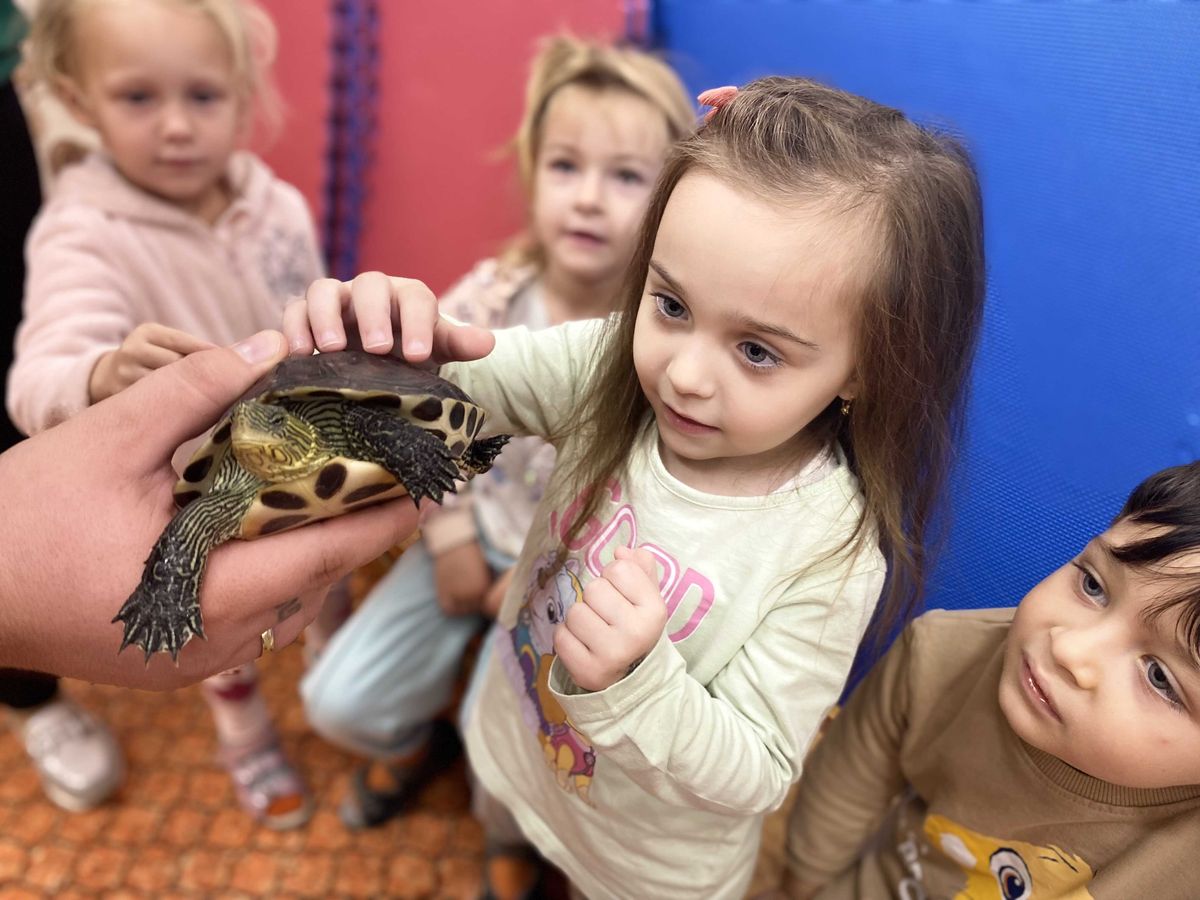 állatok világnapja, szerelmei óvoda, hódmezővásárhely