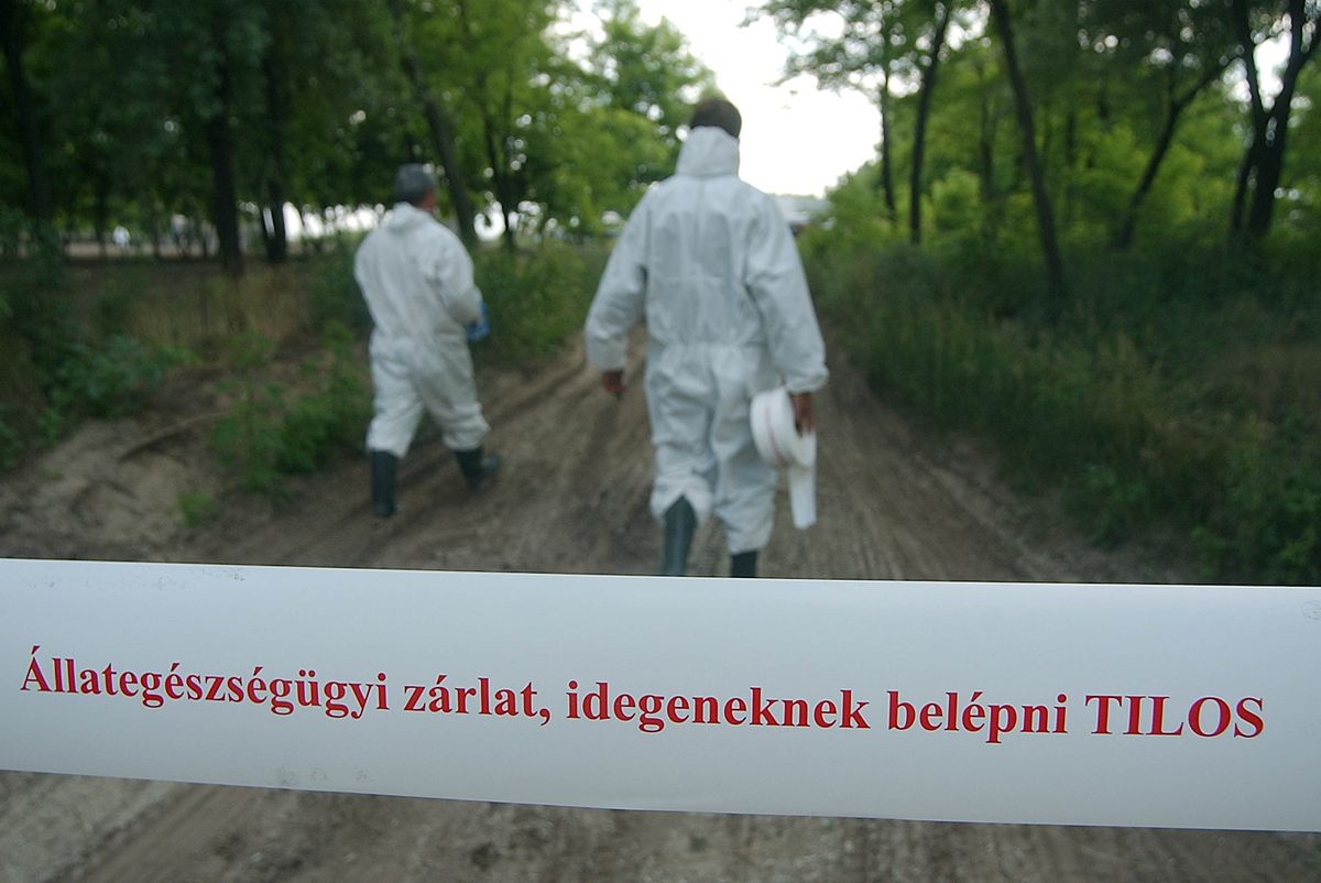 Madarinfluenza, hazmat ruha, szalag