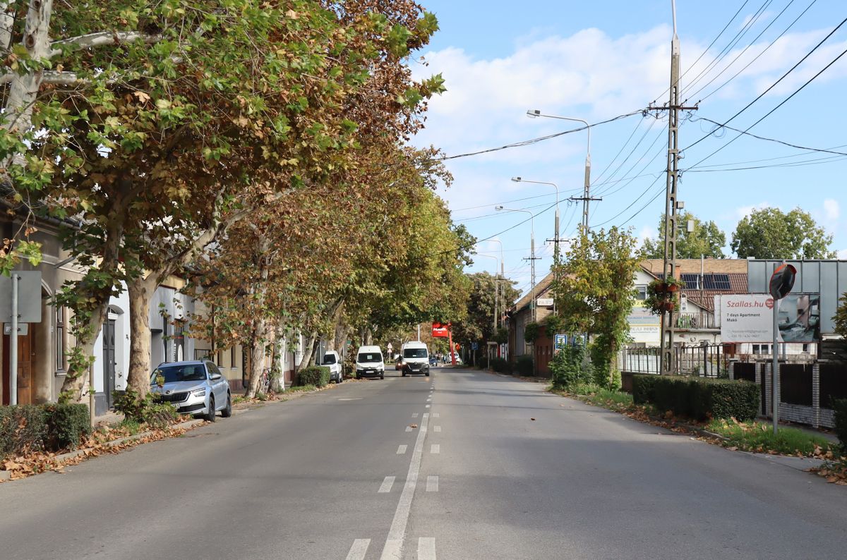 tramtrain, vaústvillamos, Makó