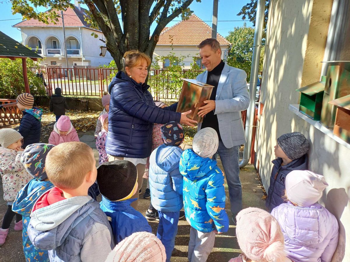 felgyői óvoda, madáretető, természet