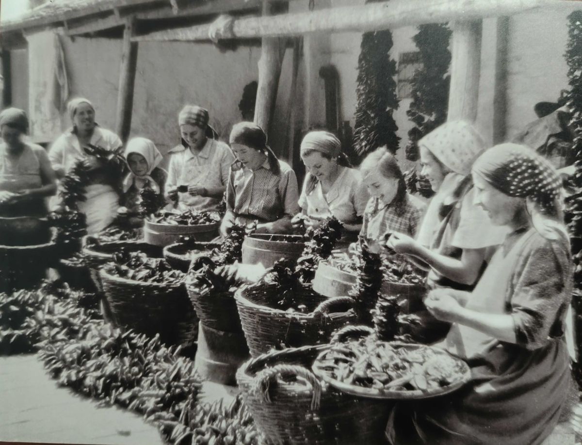 Kulik Melinda, októberi népszokások, szegedi paprika