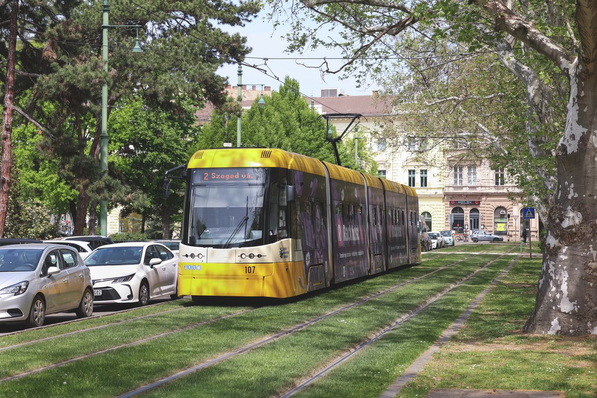 mindenszentek, menetrend, temető, parkolás