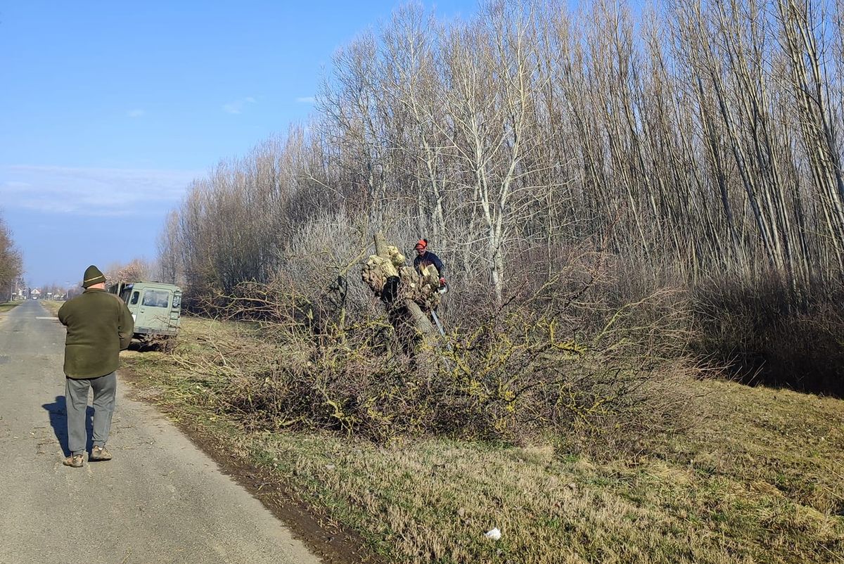 eperfa, makó, kiszombor