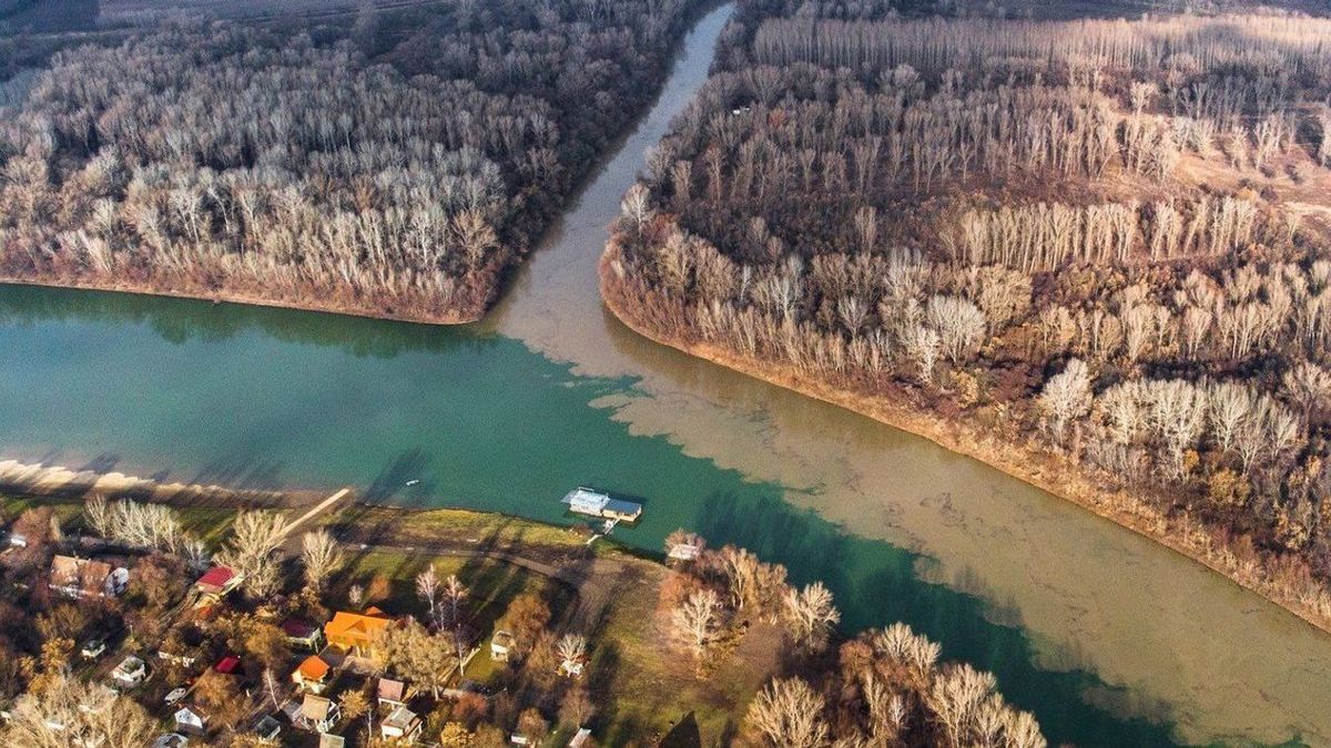 Tisza, zöldítés, együttműködés, Szerbia, Szeged, SZTE