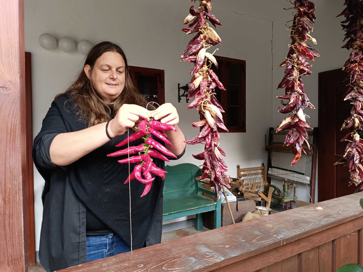 októberi népszokások, Kulik Melinda, szegedi paprika