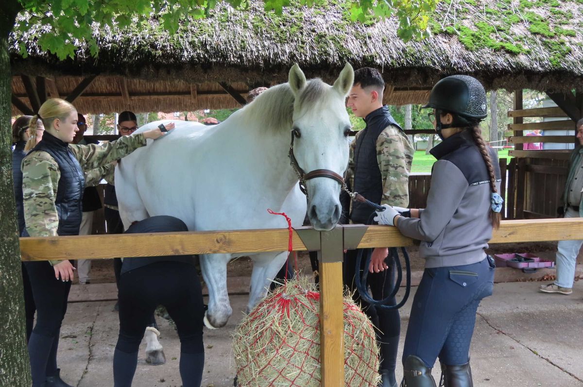 Ifjú Huszár Program, Czermann János,Hód-Mezőgazda Zrt.