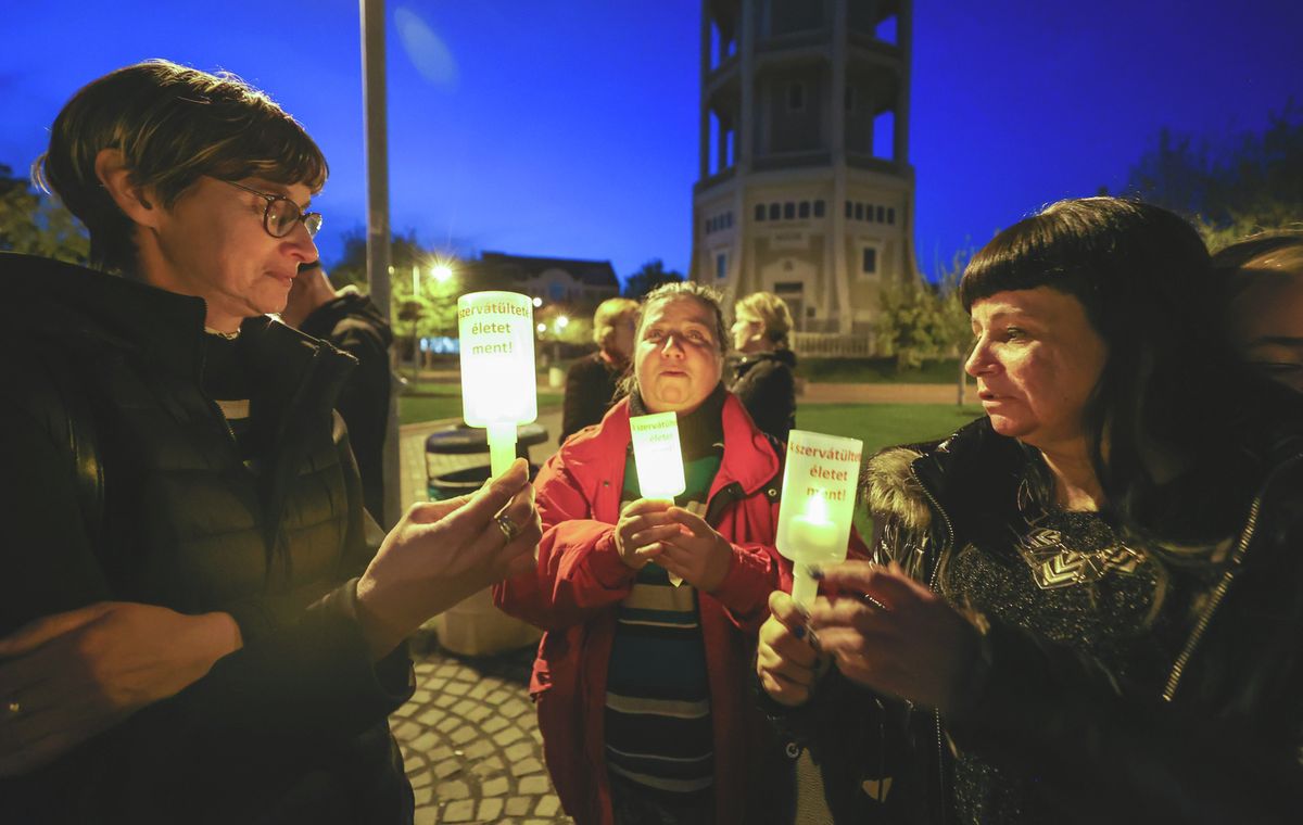 donor, szervátültetés, emlék, séta, szeged