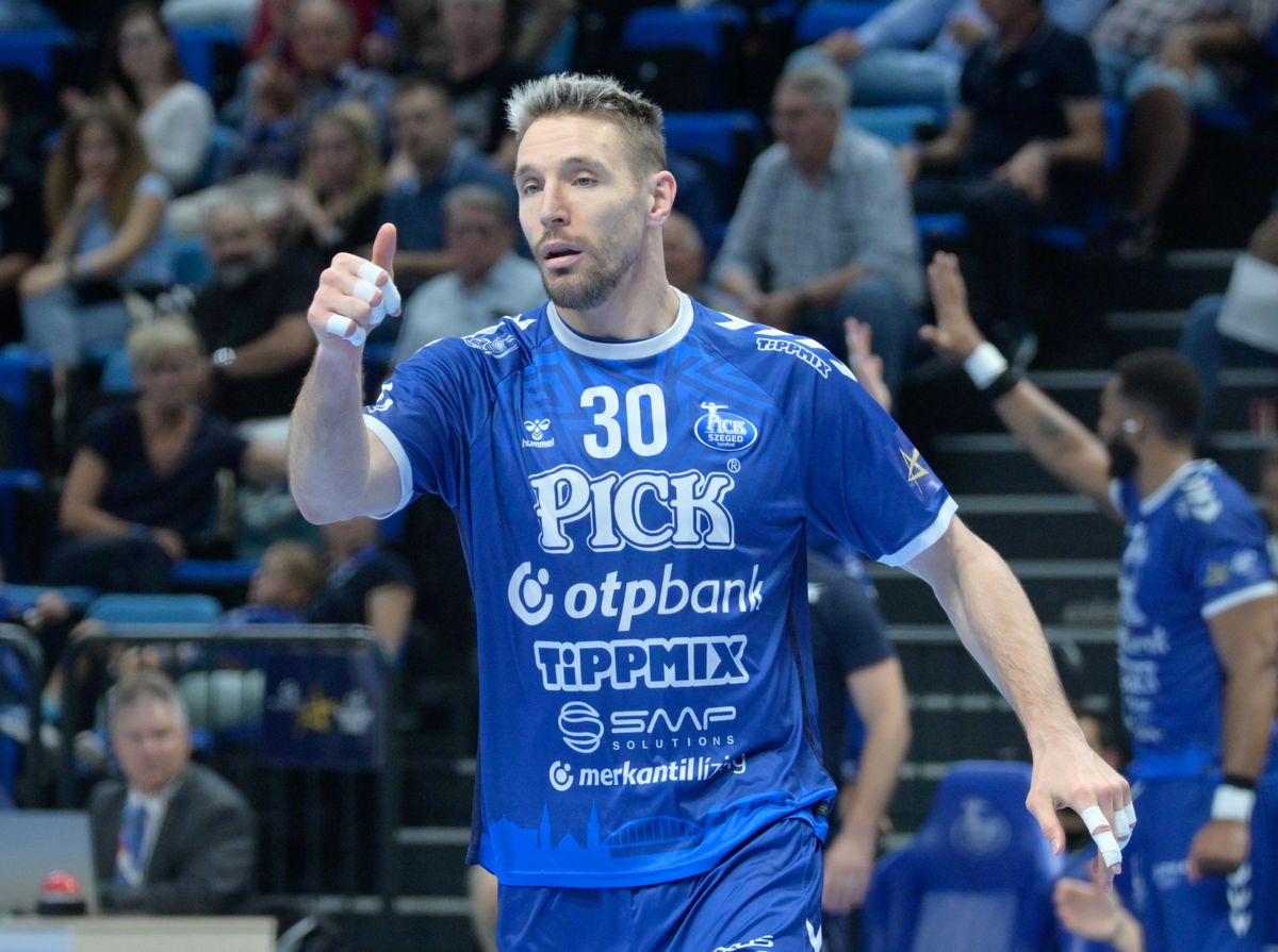 Michael Apelgren, Pick Szeged, Bajnokok Ligája