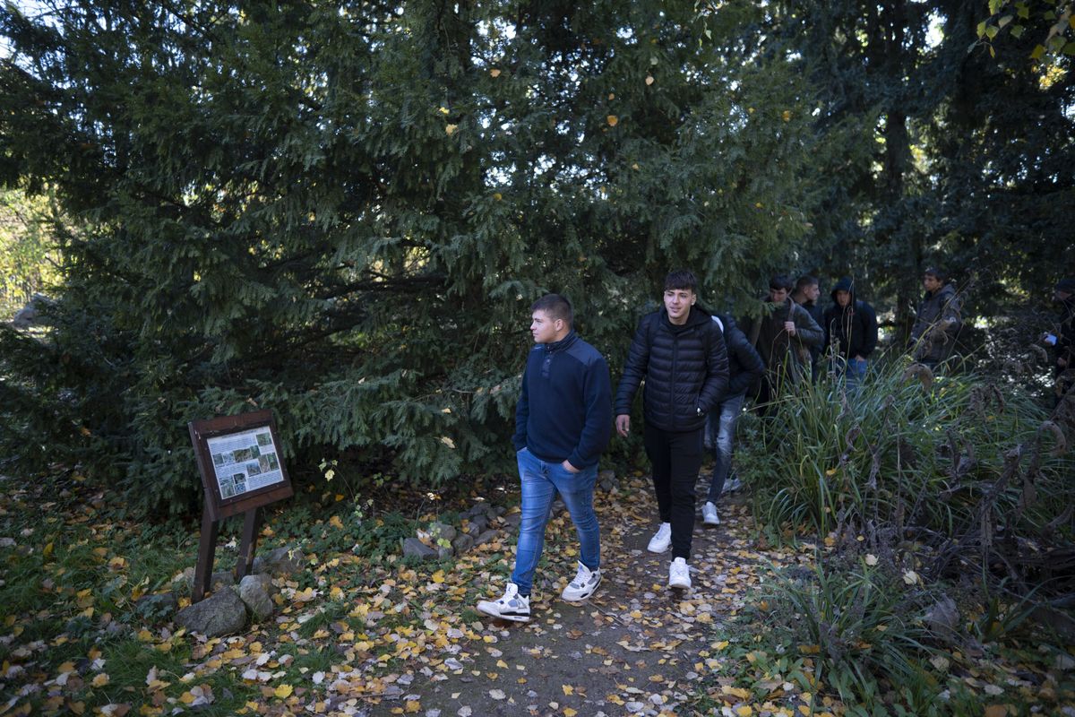 tanulmányi kirándulás, füvészkert, szeged