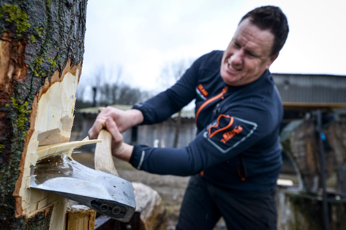 Bozsó Zoltán, ópusztaszeri favágó, Strúbel Bence