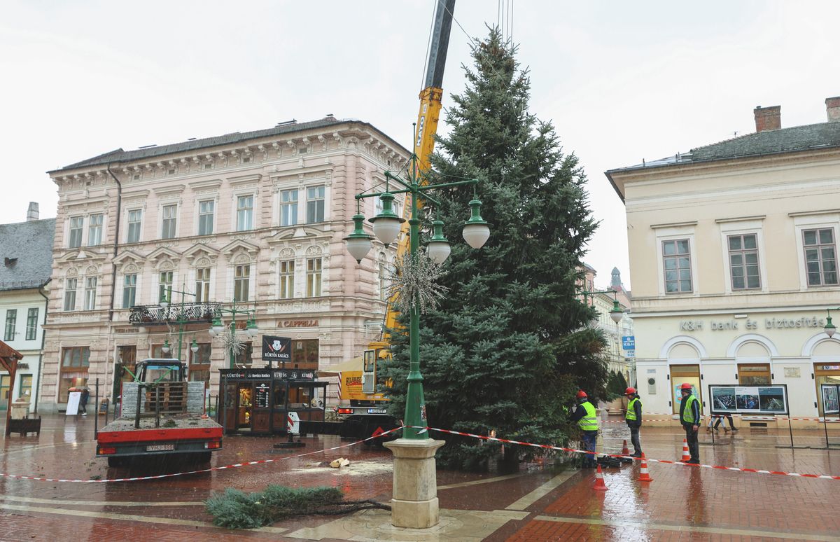 Szeged karácsonyfája, Tápé, advent